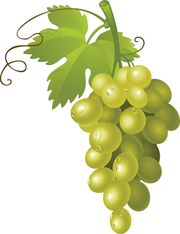 Fresh Seedless Green Grapes