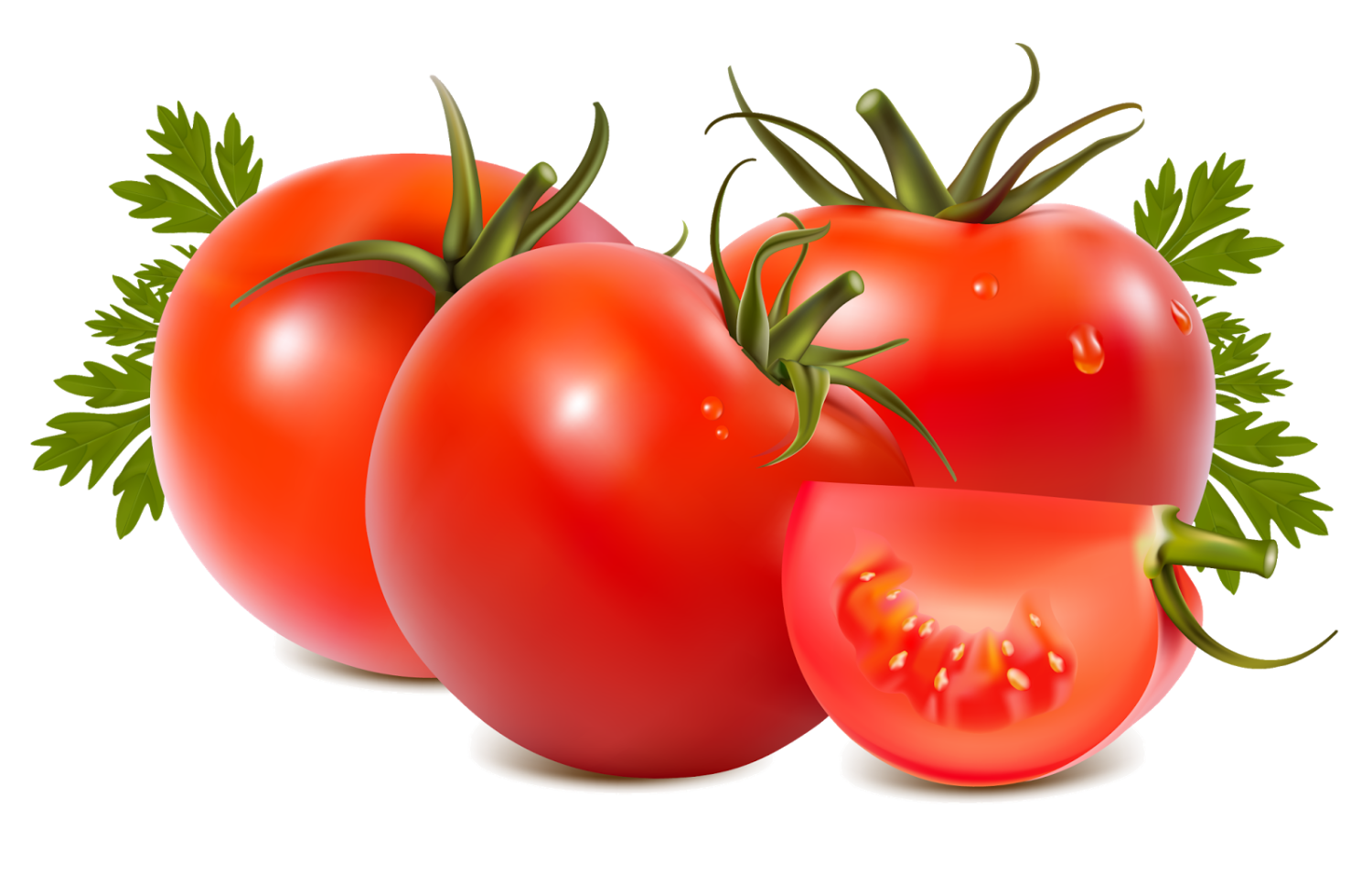 Fresh Farm Tomatoes