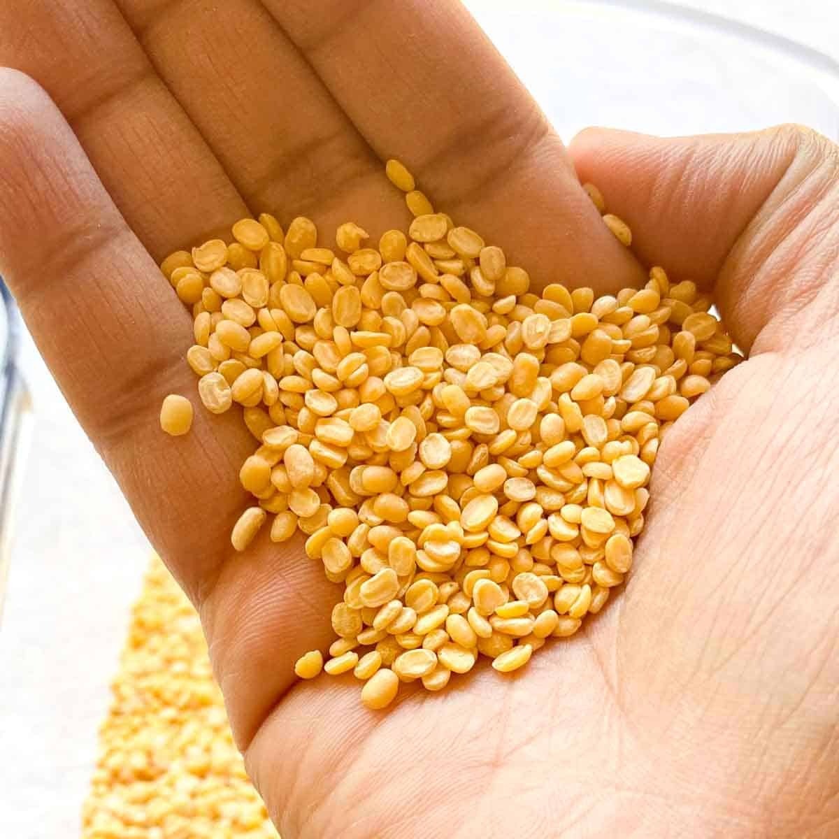 Rice, Atta & Grains